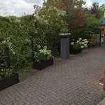 Mainperle